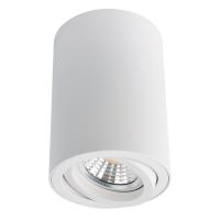 Накладной светильник ARTE Lamp A1560PL-1WH