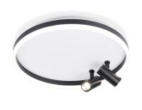 Накладной светильник Ambrella Light FL5113