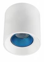 Накладной светильник Denkirs DK3090-WH+CY