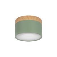 Детский точечный светильник LOFT IT 10162 Green