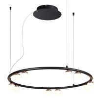 Подвесная люстра Favourite 4320-10P