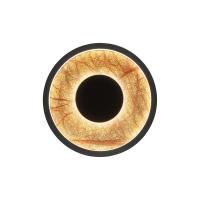 Бра Favourite 4445-1W