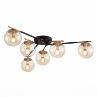 Накладная люстра Evoluce SLE106902-06