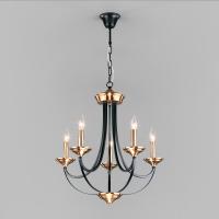 Подвесная люстра Eurosvet 60098/5 черный