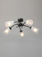 Накладная люстра Vitaluce V2850-1/5PL