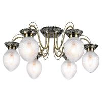 Накладная люстра Lussole LSP-8027