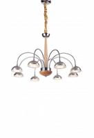 Подвесная люстра Lucia Tucci Natura 065.8 Led