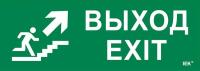 Этикетка самоклеящаяся 280х100мм "Выход/лестница вверх/фигура" IEK LPC10-1-28-10-VLVVF