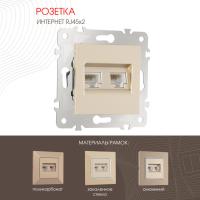 Розетка Arte Milano 203.45-2.shampan
