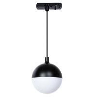 Светильник на шине ARTE Lamp A4564PL-1BK