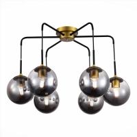 Накладная люстра Evoluce SLE1097-302-06