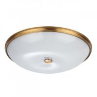 Накладной светильник Odeon Light 4956/6