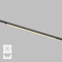 Светильник на шине Denkirs DK5752-DN