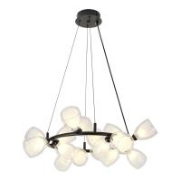 Подвесная люстра Lussole LSP-6063