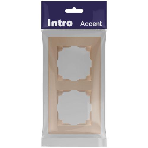 Рамка 2-м СП Accent 6-502-04 шампань Intro Б0063758