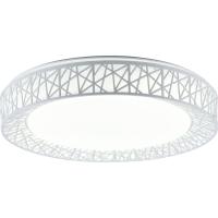 Накладной светильник TOPLIGHT TL1204X-72WH