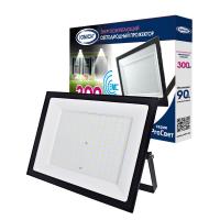 Прожектор светодиодный IFL-300-865-BL-IP65-ProСвет 300Вт 6500К IP65 27000лм IONICH 1659