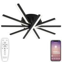 Накладная люстра Natali Kovaltseva LED LAMPS 81174