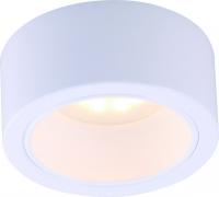 Накладной светильник ARTE Lamp A5553PL-1WH