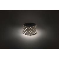 Лента светодиодная LS5050 14.4-60-12-4000K-IP20-1 year-5m нейтр. бел. (уп.5м) Эра Б0053973