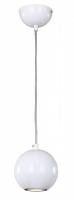 Подвесной светильник Favourite 1599-1P