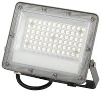 Прожектор светодиодный PRO LPR-063-0-65K-050 50Вт 6500К IP65 5000лм Г 90град. сер. Эра Б0067705