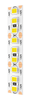 Светодиодная лента Geniled GL-180SMD2835 12В 16Вт/м 10x5000 6000-6500К IP65