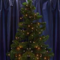 Светодиодная гирлянда Feron 41621