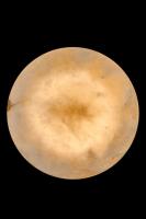 Бра Fluorite FL1020-1WH