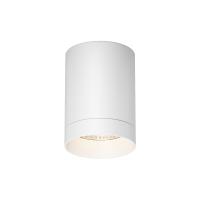 Накладной уличный светильник Maytoni O500CL-L10W3K