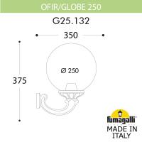 Светильник настенный Fumagalli G25.132.000.BXF1R