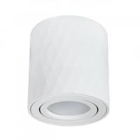 Накладной светильник ARTE Lamp A5559PL-1WH