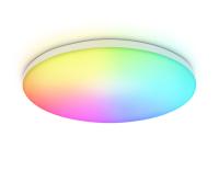 Накладной светильник Ambrella Light FZ2001