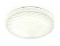 Накладной светильник Ambrella Light FF20