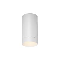Накладной уличный светильник Maytoni O500CL-L5W3K