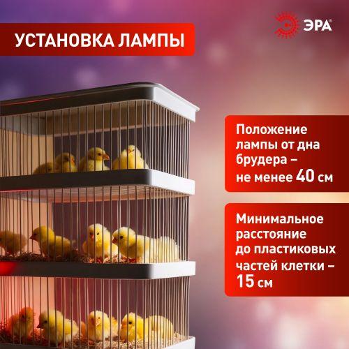 Излучатель тепловой (лампа инфракрасная) FITO-200W-НQ CeramiHeat RX 200Вт E27 для брудера/рептилий не дает света керамическая Эра Б0059885