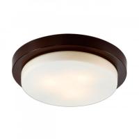 Накладной светильник Odeon Light 2744/3C