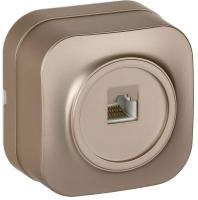 Розетка компьютерная ОП RJ45 кат.5E GLORY РК10-ХШм шампань матов. IEK EKH10-K37M