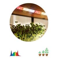 Лента светодиодная FITO-Strip Light-Rа90-3m 3м для растений полноспектральная IP65 Эра Б0059881