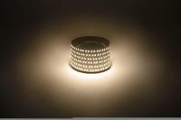 Лента светодиодная LS2835 -14.4-180-12-3000K-IP20-1 year-5m тепл. бел. (уп.5м) Эра Б0059903