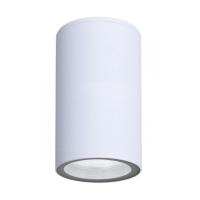 Влагозащищенный светильник ARTE Lamp A3302PF-1WH