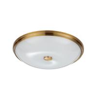 Накладной светильник Odeon Light 4956/5