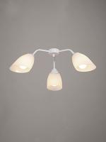 Накладная люстра Vitaluce V31950/3PL