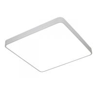 Накладной светильник ARTE Lamp A2687PL-45WH