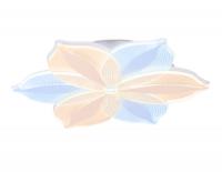 Накладной светильник Ambrella Light AK4315