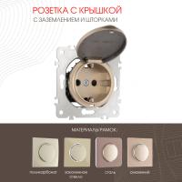 Розетка Arte Milano 202.41-1.shampan