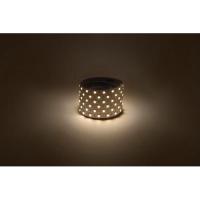 Лента светодиодная LS5050 -14.4-60-12-3000K-IP20-1 year-5m тепл. бел. (уп.5м) Эра Б0059909