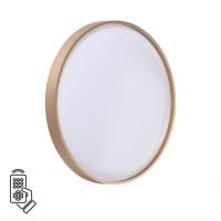 Накладной светильник Sonex 7783/DL