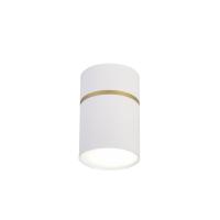 Накладной светильник Favourite 3067-1C