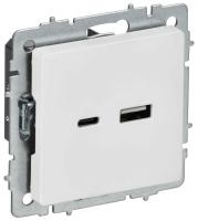 Розетка BRITE РЮ11-1-БрАБ 18Вт USB A+C механизм арктич. бел. IEK BR-U22-018-K91